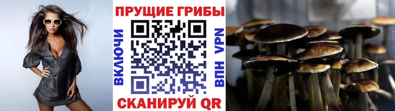 Псилоцибиновые грибы Magic Shrooms  Липецк 